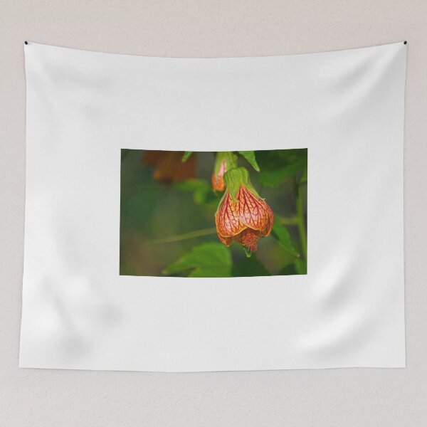 Item preview, Red Hibiscus Blooming designed and sold by Diego Re.