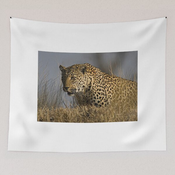 Item preview, Female Leopard - Makwela designed and sold by Michael Moss Photography.