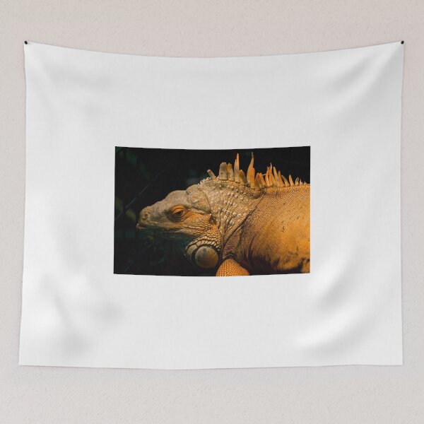 Item preview, Iguana designed and sold by Diego Re.