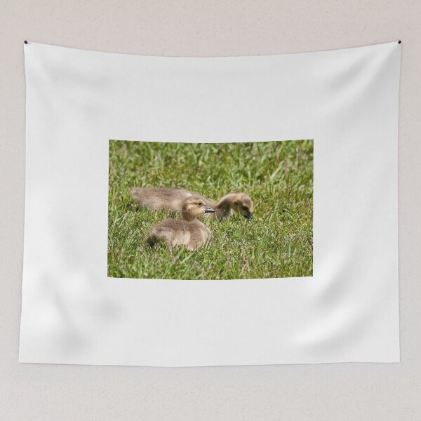 Item preview, Candid Moment designed and sold by Tracey  Dryka.