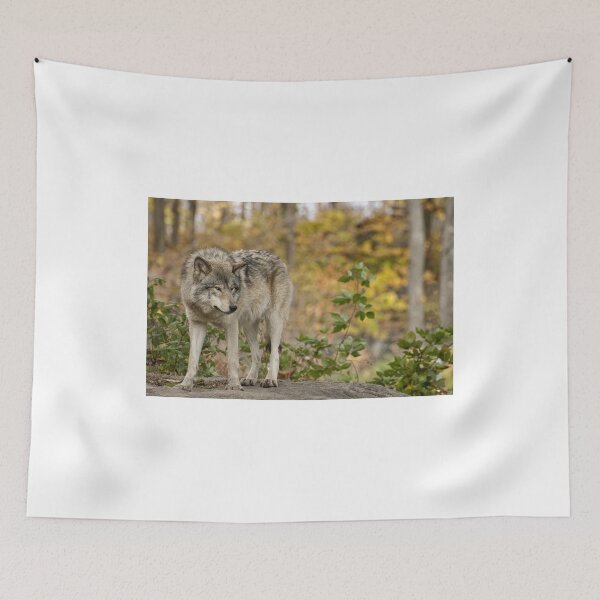 Item preview, Guardian designed and sold by Tracey  Dryka.