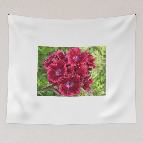 Item preview, Sweet Williams designed and sold by lynn carter.