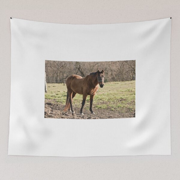 Item preview, One Fine Lady- Silver Creek Ranch, Ottawa, Ont designed and sold by Tracey  Dryka.