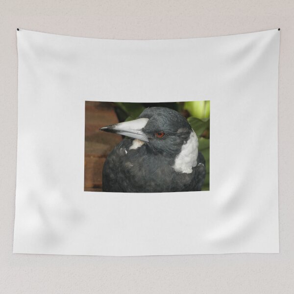 Item preview, Beautiful Bird, Botanic Gardens, Canberra, Australia. designed and sold by kaysharp.