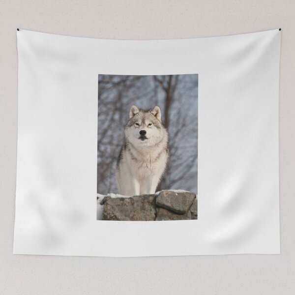 Item preview, Investigation designed and sold by Tracey  Dryka.