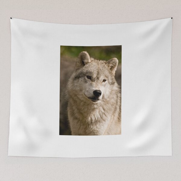 Item preview, Wondering! designed and sold by Tracey  Dryka.