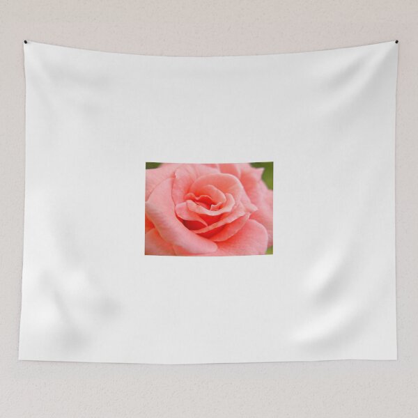 Item preview, sweet sixteen designed and sold by lensbaby.