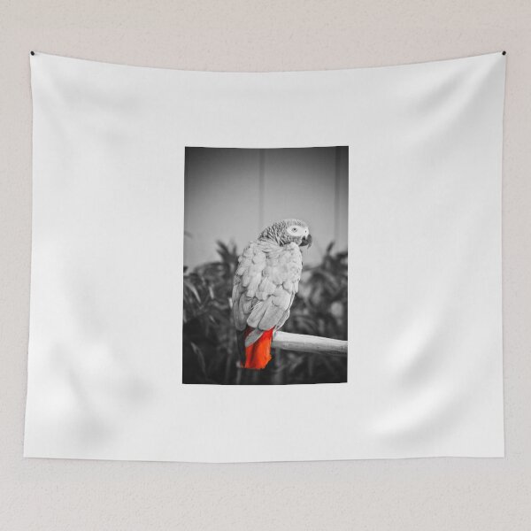 Item preview, African Grey  designed and sold by Jeanie93.
