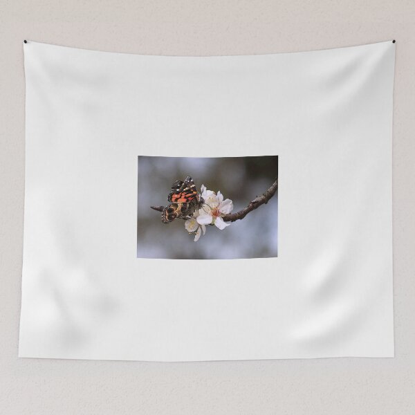 Item preview, Sweet Butterfly designed and sold by Penny Odom.