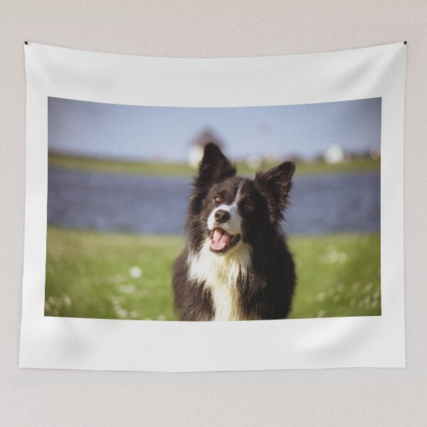 Item preview, Bob designed and sold by Michael Haslam.