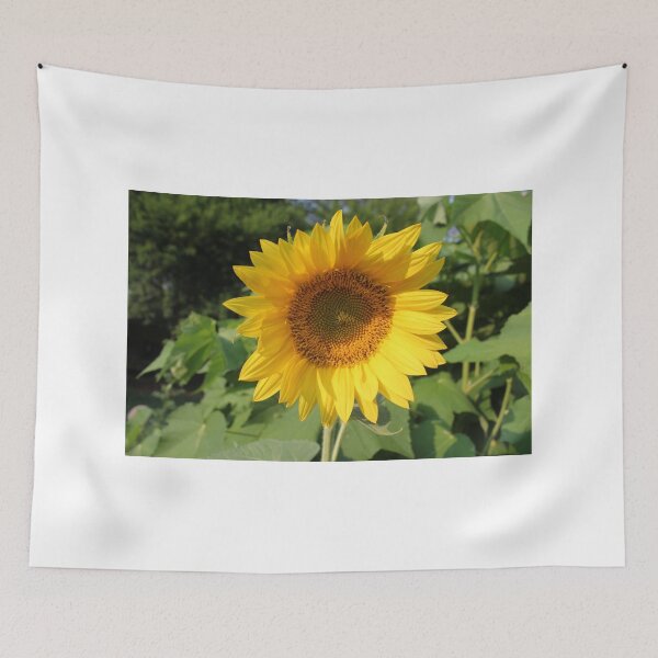 Item preview, Sunflower designed and sold by DebbieCHayes.