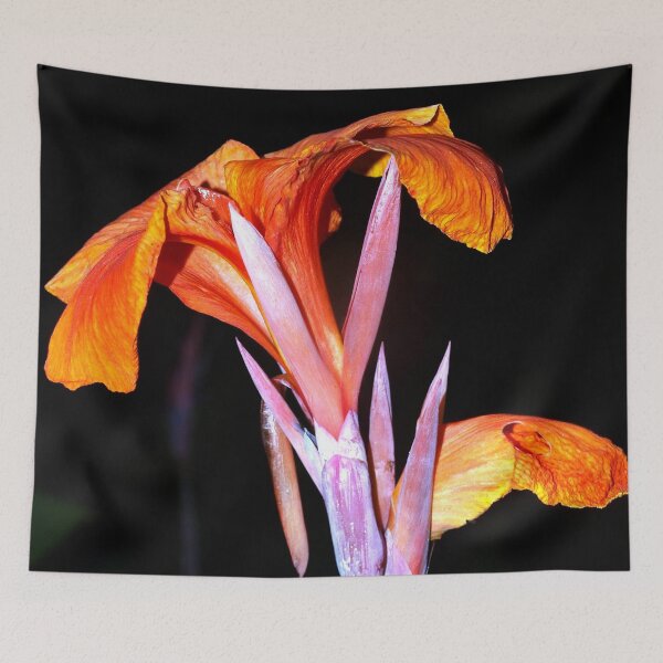 Item preview, Brilliant orange canna lily designed and sold by B. Randi Bailey.