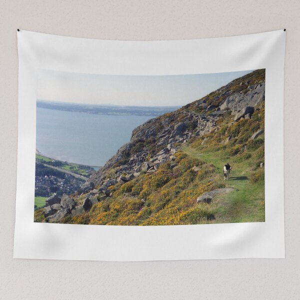 Item preview, "I'll be coming 'round the mountain..." designed and sold by Michael Haslam.