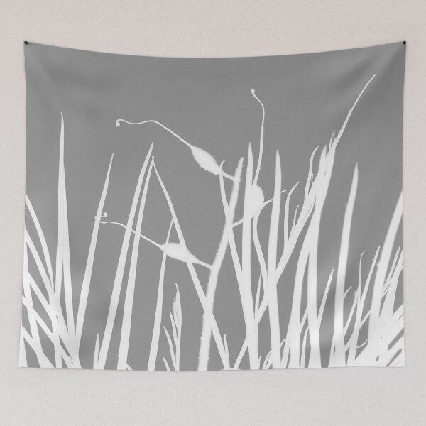 Item preview, reach ... designed and sold by Helen Corr.