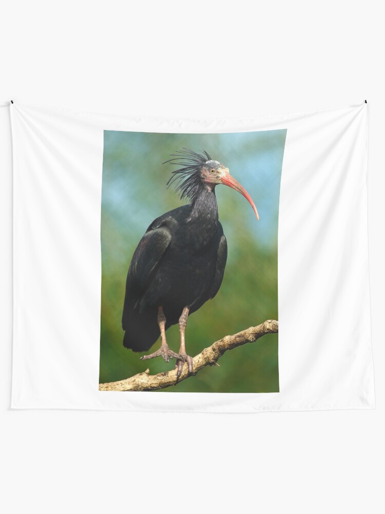 Alternate view of Ibis Tapestry