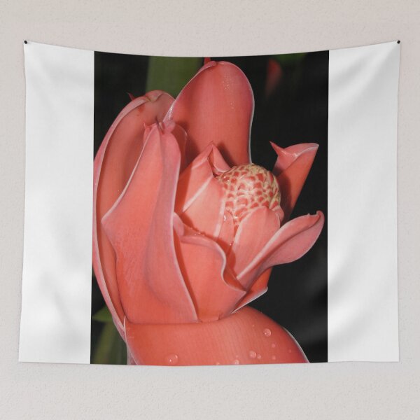 Item preview, Kissed by the Rain designed and sold by Mellisa Wagner.