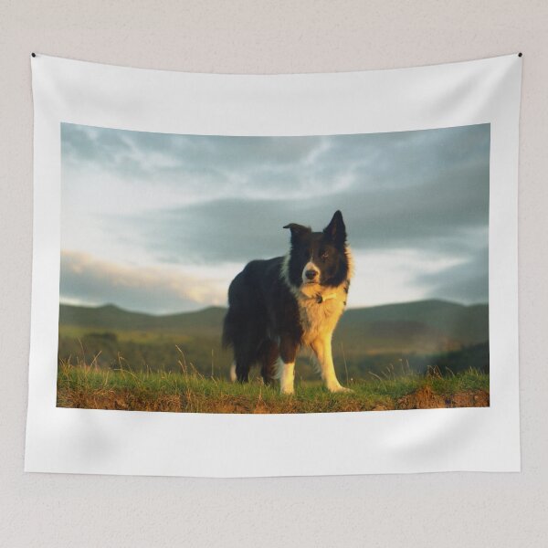 Item preview, Indy in paradise. designed and sold by Michael Haslam.