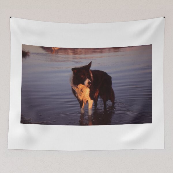 Item preview, Indy's sunset dip.   designed and sold by Michael Haslam.