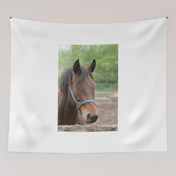Item preview, Pam - NNEP Ottawa ON designed and sold by Tracey  Dryka.