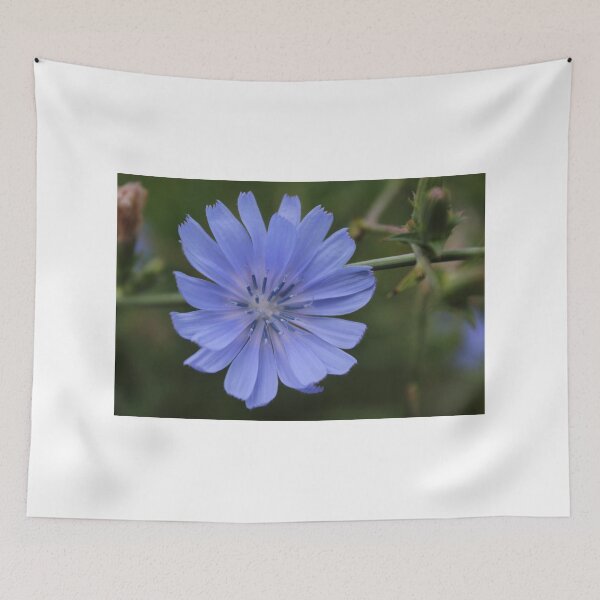Item preview, Everything blue ... designed and sold by karina5.