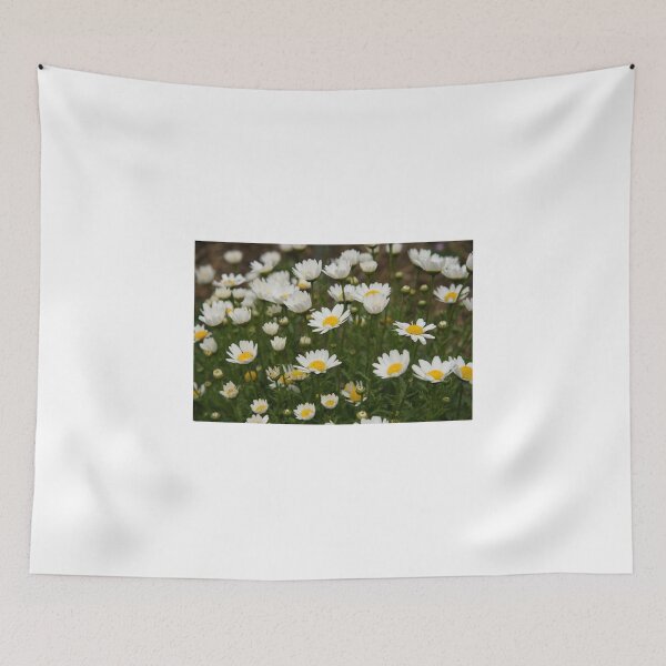 Item preview, White Daisies Lift Up Their Faces  designed and sold by coffeebean.