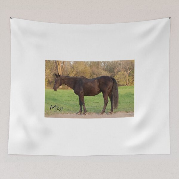 Item preview, Meg - retired from NNEP designed and sold by Tracey  Dryka.