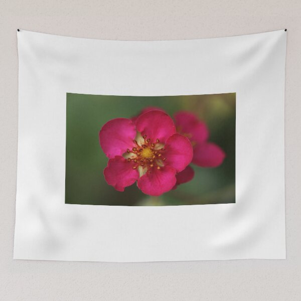 Item preview, Come Hither designed and sold by coffeebean.