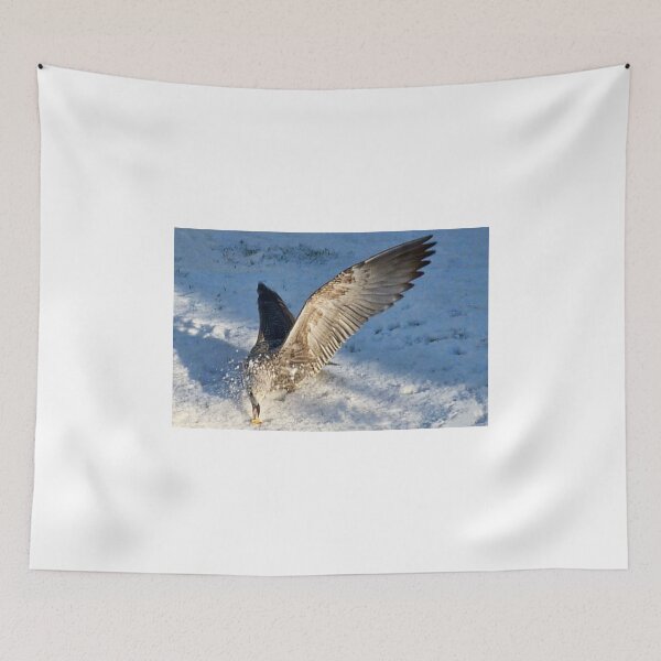 Item preview, Young Gull...Lyme Dorset UK designed and sold by lynn carter.