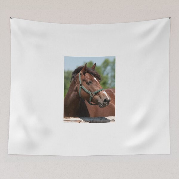 Item preview, Tia - NNEP Ottawa, ON designed and sold by Tracey  Dryka.