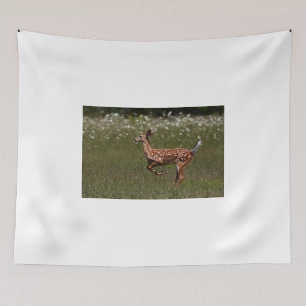 Item preview, White-tailed deer - Fawn designed and sold by James Cumming.