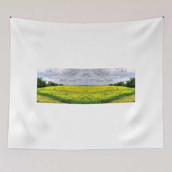 Item preview, Canola Field (Pano) designed and sold by Larry Trupp.
