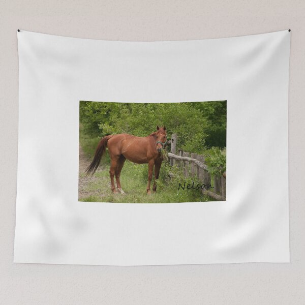 Item preview, Nelson -NNEP Ottawa designed and sold by Tracey  Dryka.