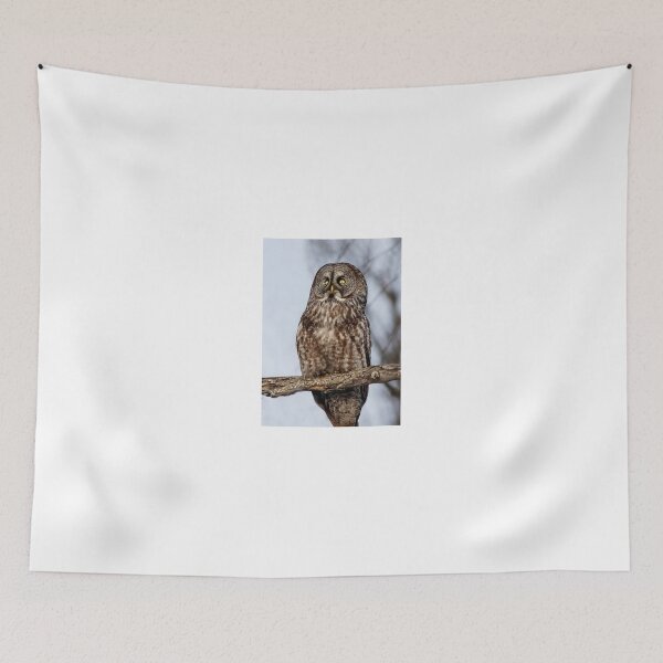 Item preview, Great Grey Owl designed and sold by James Cumming.