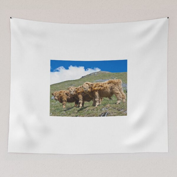 Item preview, Highland cattle all in a row designed and sold by GrahamCSmith.
