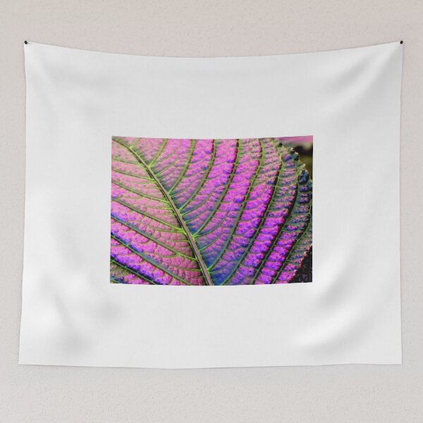 Item preview, Pulchritudinous designed and sold by Jean Gregory Evans.