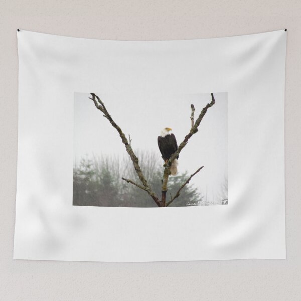 Item preview, Eagle's Rest designed and sold by cinebarcowboy.