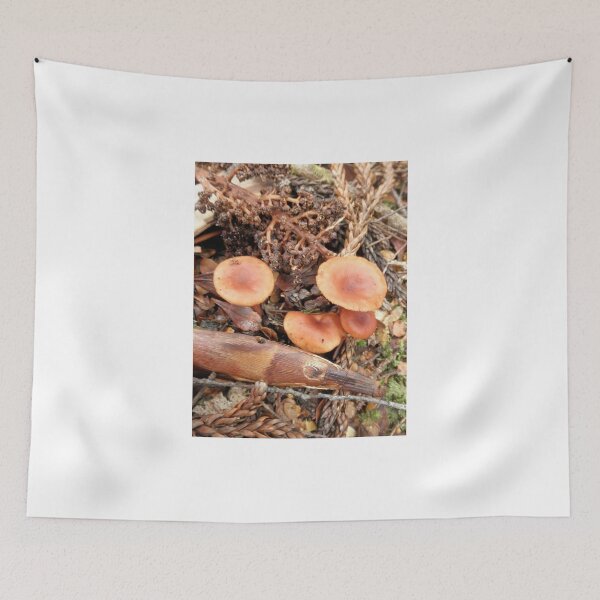 Item preview, Orange Fungi, Crater Lake Falls, Cradle Mountain, Tasmania, Australia. designed and sold by kaysharp.