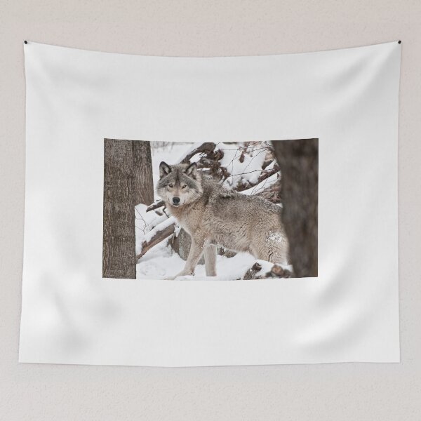 Item preview, I See You! designed and sold by Tracey  Dryka.