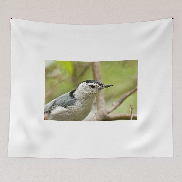 Item preview, White breasted Nuthatch designed and sold by Tracey  Dryka.