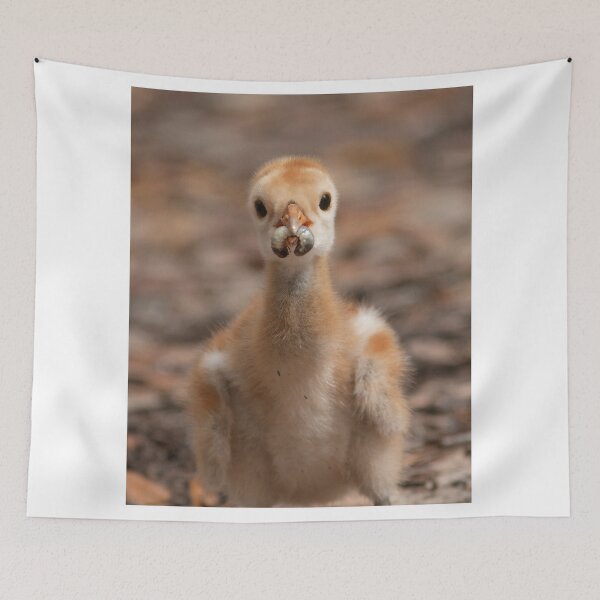 Item preview, Grubs are the Best designed and sold by WorldDesign.