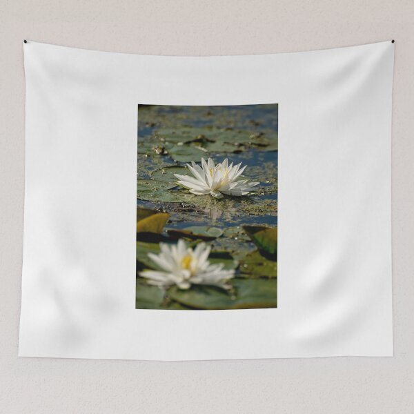 Item preview, Water lily - Chaffey's Locks, Ontario designed and sold by Tracey  Dryka.