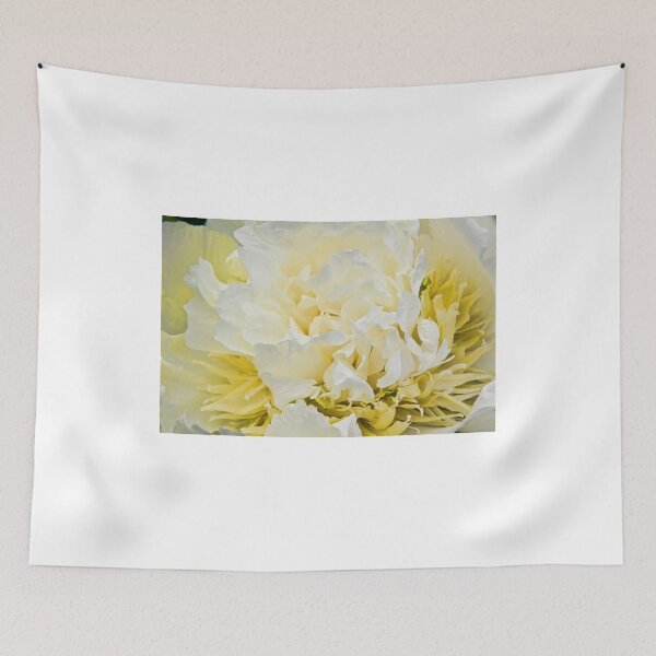 Item preview, Peony - Experimental Garden, Ottawa, Ontario designed and sold by Tracey  Dryka.