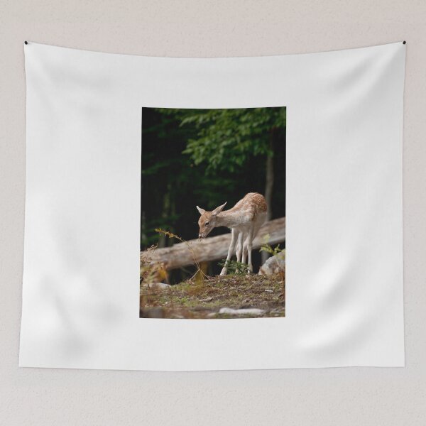 Item preview, Fallowdeer - Parc Omega, Montebello, PQ designed and sold by Tracey  Dryka.
