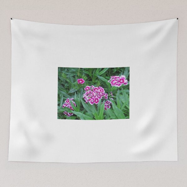 Item preview, Sweet Williams in Hiding designed and sold by BlueMoonRose.
