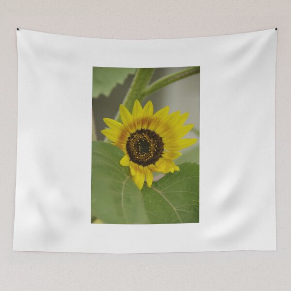 Item preview, Sunflower - macro designed and sold by Tracey  Dryka.