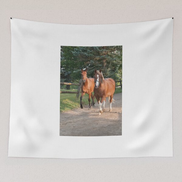 Item preview, Cedar and Cameron - Ottawa, ON designed and sold by Tracey  Dryka.