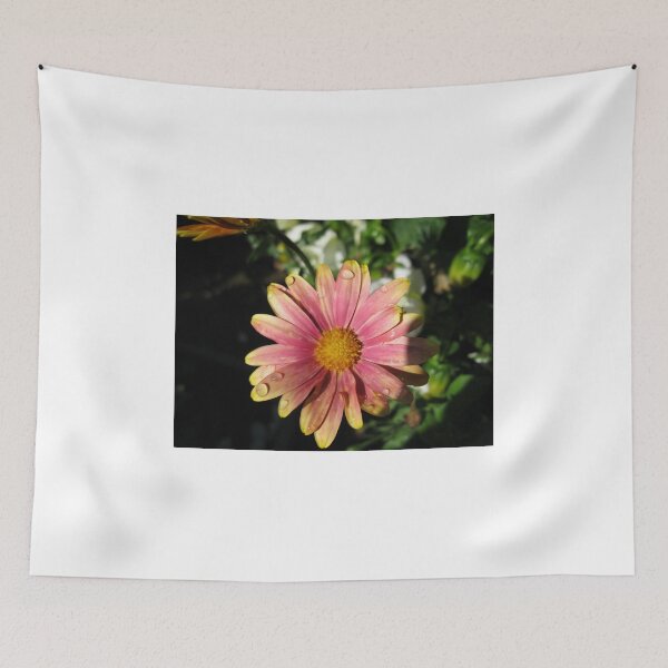 Item preview, Dusky Orange Cape Daisy with Raindrops designed and sold by Kathryn Jones.