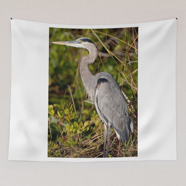 Item preview, STOCK ~ Great Blue Heron #3 designed and sold by akaurora.