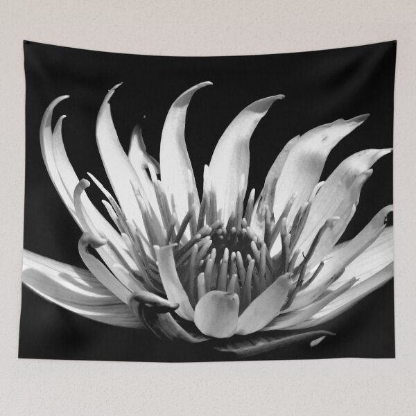 Item preview, The Summer Wind designed and sold by shutterbug2010.