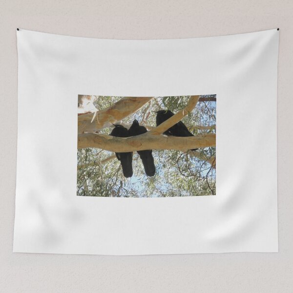Item preview, Three in a Tree, Botanic Gardens, Canberra, Australia. designed and sold by kaysharp.
